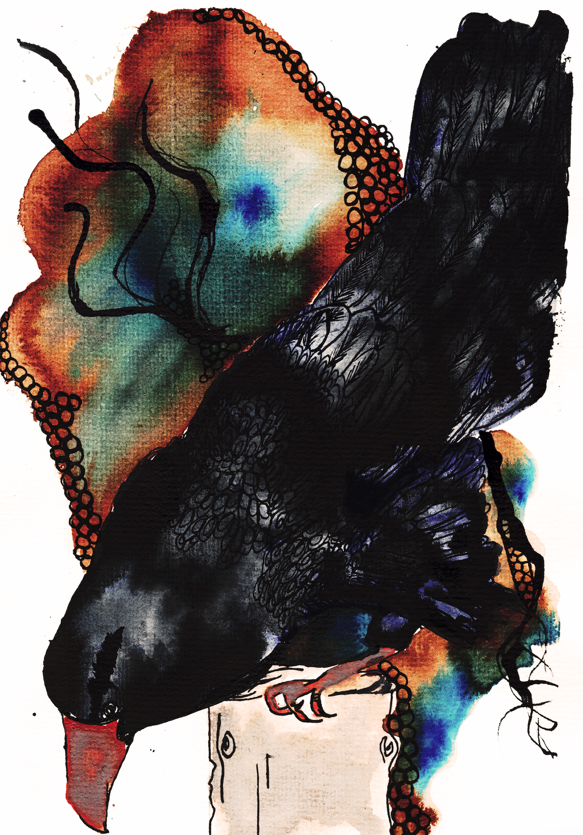 As The Crow Flies